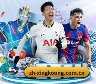 zh-xingkoong.com.cn的方向(xingkong)